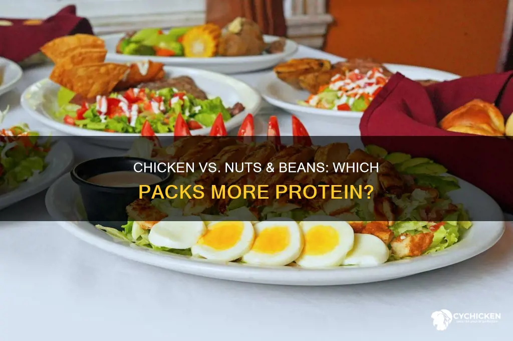 does chicken contain more protein then nuts & beans
