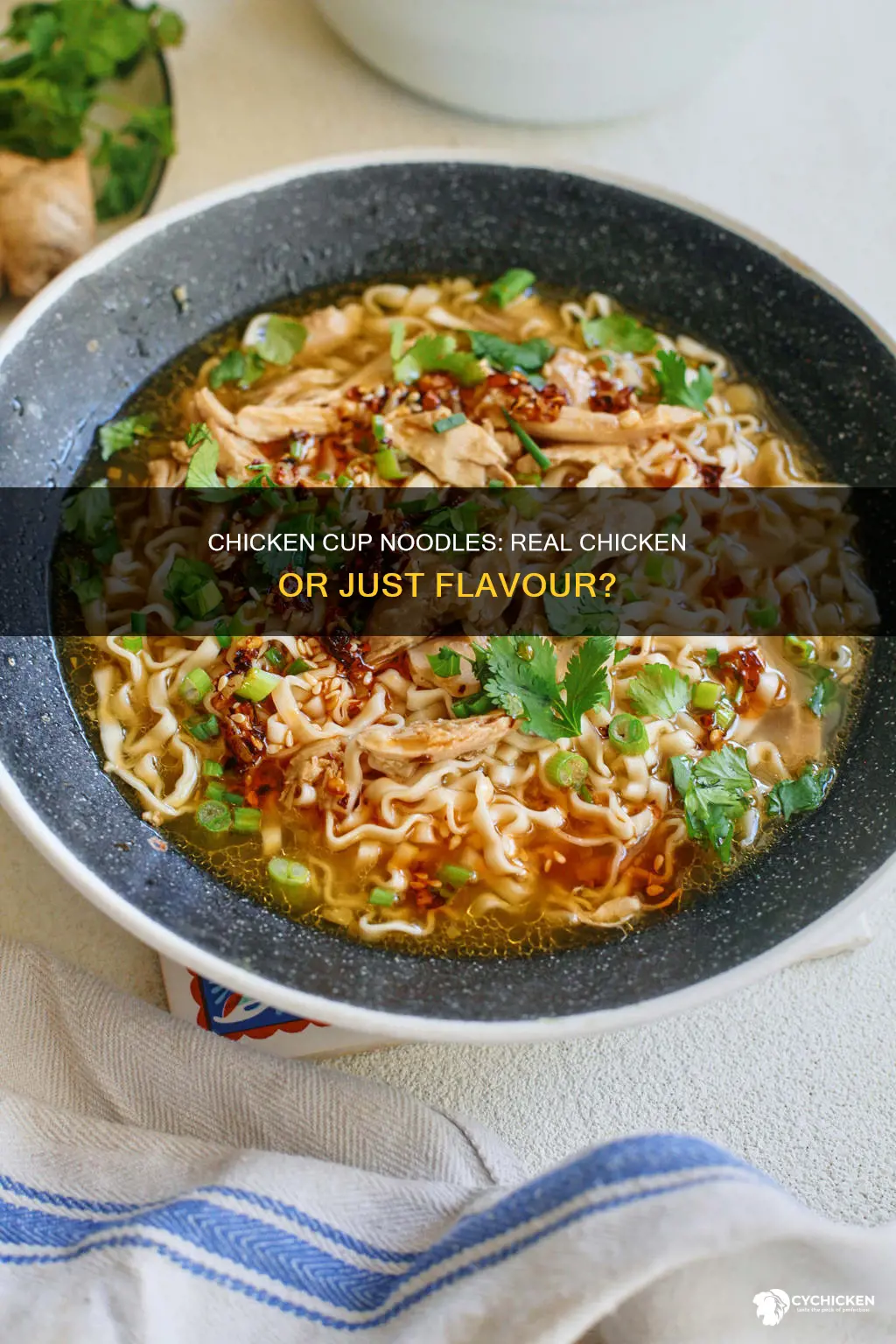 does chicken cup of noodle have chicken in it