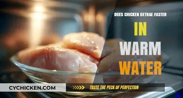 Does Warm Water Speed Up Chicken Defrosting? A Quick Guide