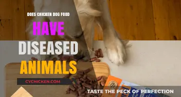 Is Diseased Meat in Chicken Dog Food a Hidden Concern?