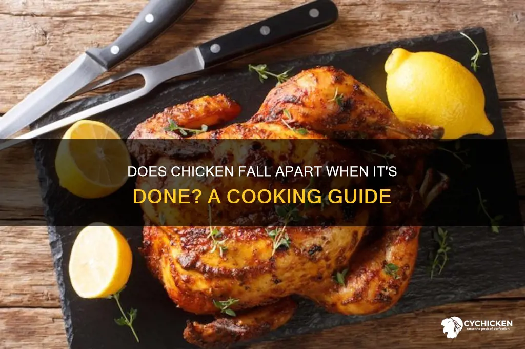 does chicken fall apart when it