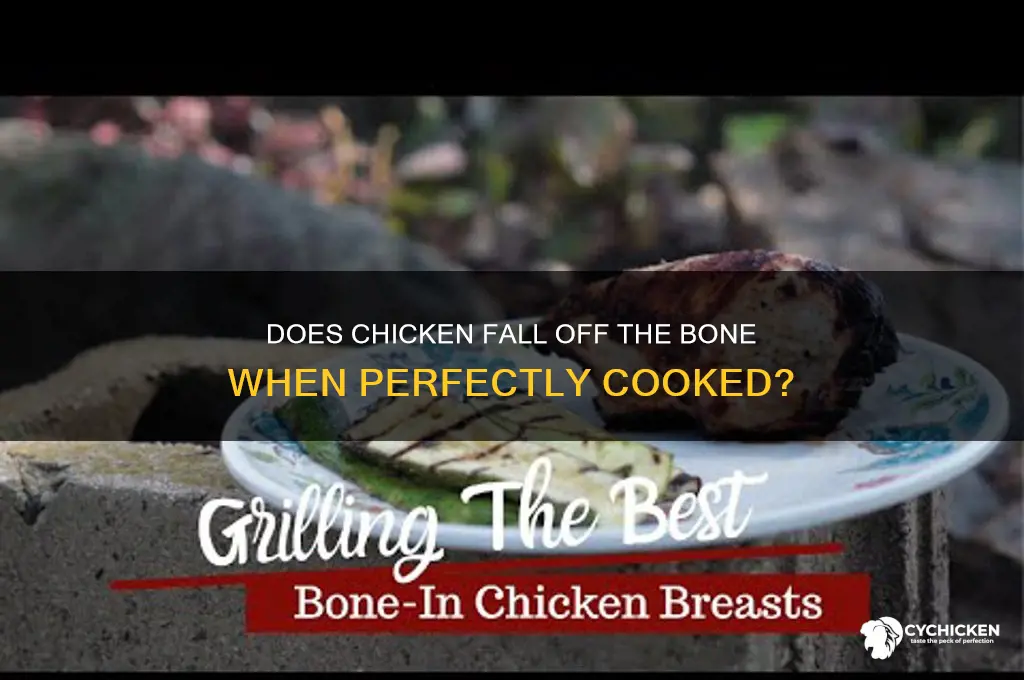 does chicken fall off the bone when done