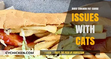 Chicken Fat in Cat Diets: Benefits, Risks, and Expert Insights