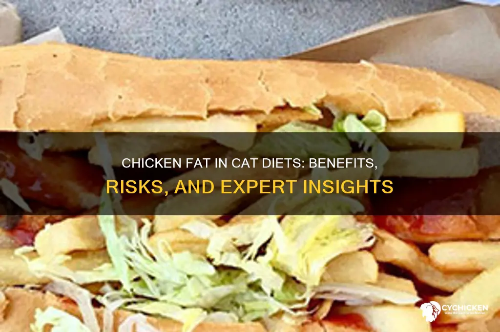 does chicken fat cause issues with cats