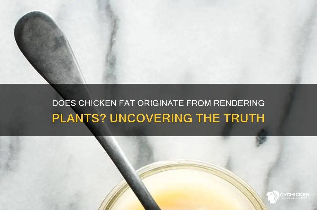 does chicken fat come from a rendering plant