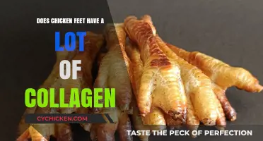 Chicken Feet Collagen: Unlocking Skin and Joint Health Benefits