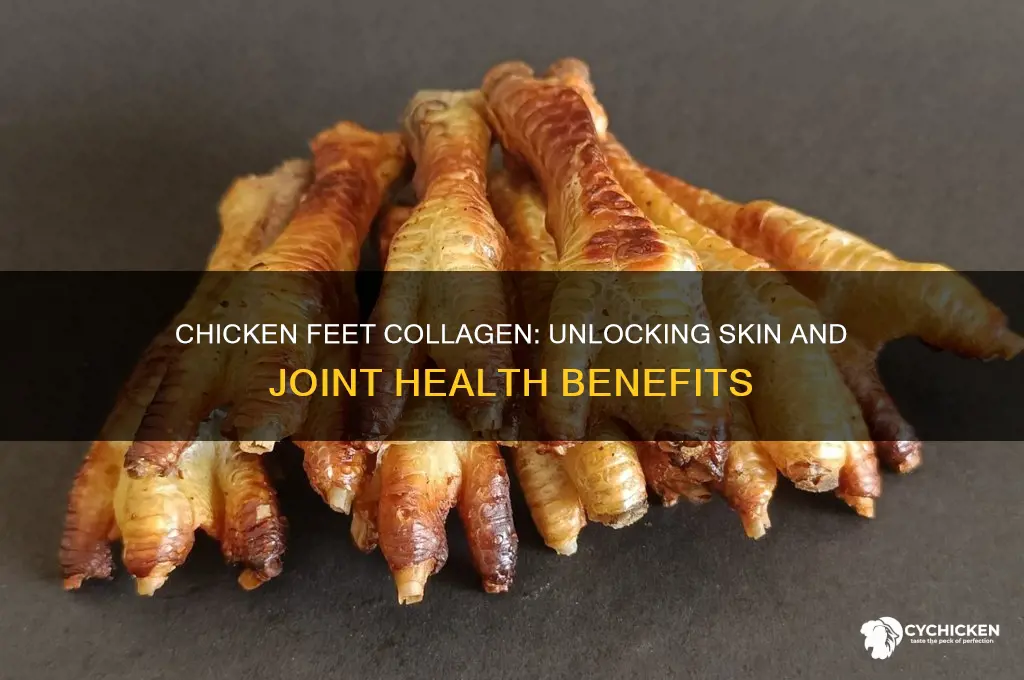 does chicken feet have a lot of collagen