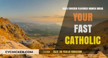 Chicken Flavored Ramen and Catholic Fasting: Does It Break the Fast?