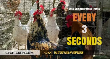 Do Chickens Really Forget Everything Every 3 Seconds? The Truth
