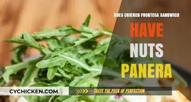 Does Panera's Chicken Frontega Sandwich Contain Nuts? Find Out Here