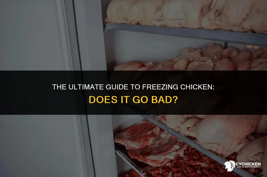 does chicken go bad if frozen