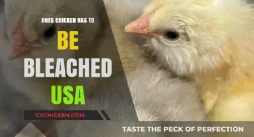 Is Bleaching Chicken Necessary in the USA? Uncovering the Truth
