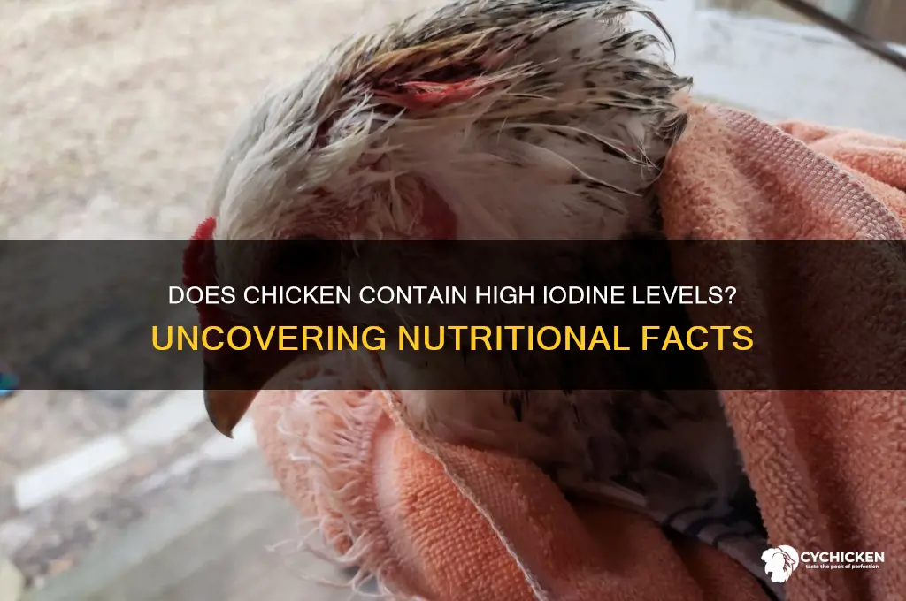 does chicken have a high positive of iodine