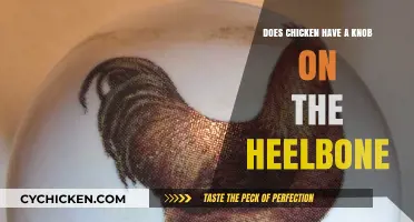 Unraveling the Mystery: Do Chickens Have a Knob on Their Heelbone?