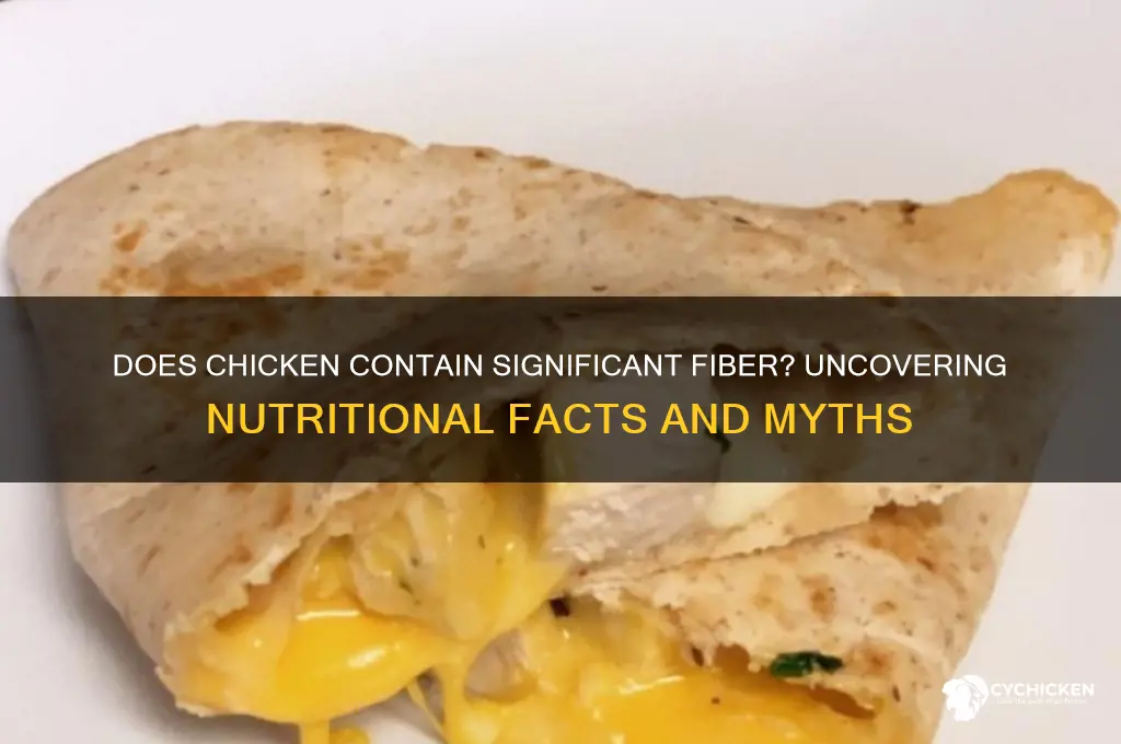 does chicken have a lot of fiber