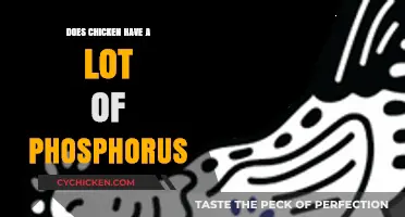 Does Chicken Contain High Phosphorus Levels? A Nutritional Breakdown