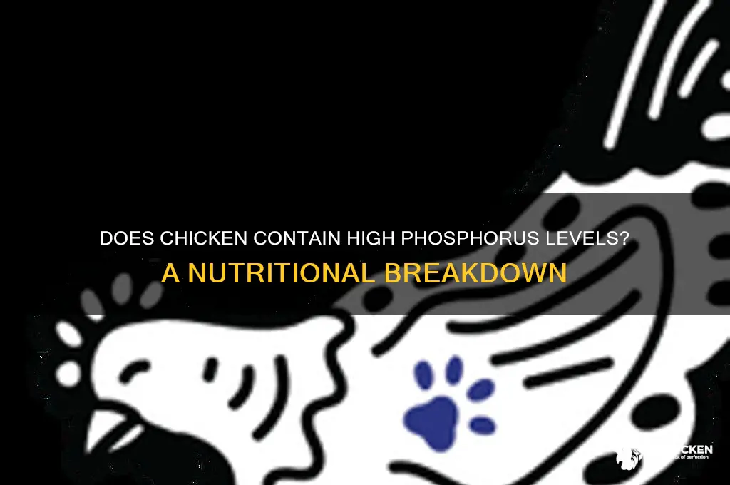 does chicken have a lot of phosphorus
