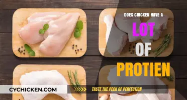 Is Chicken a High-Protein Food? Uncovering the Nutritional Truth