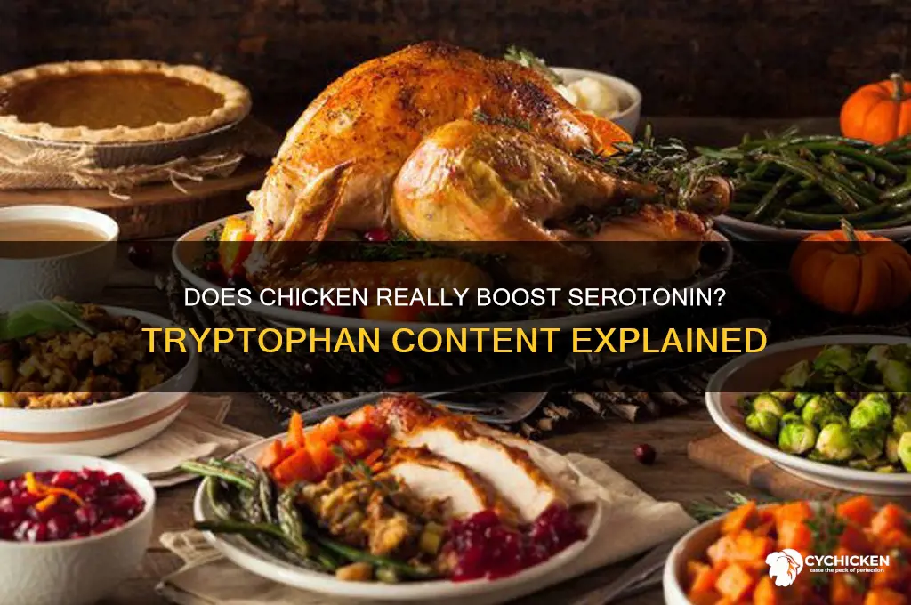 does chicken have a lot of tryptophan