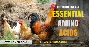 Is Chicken a Complete Protein? Unlocking Its 9 Essential Amino Acids