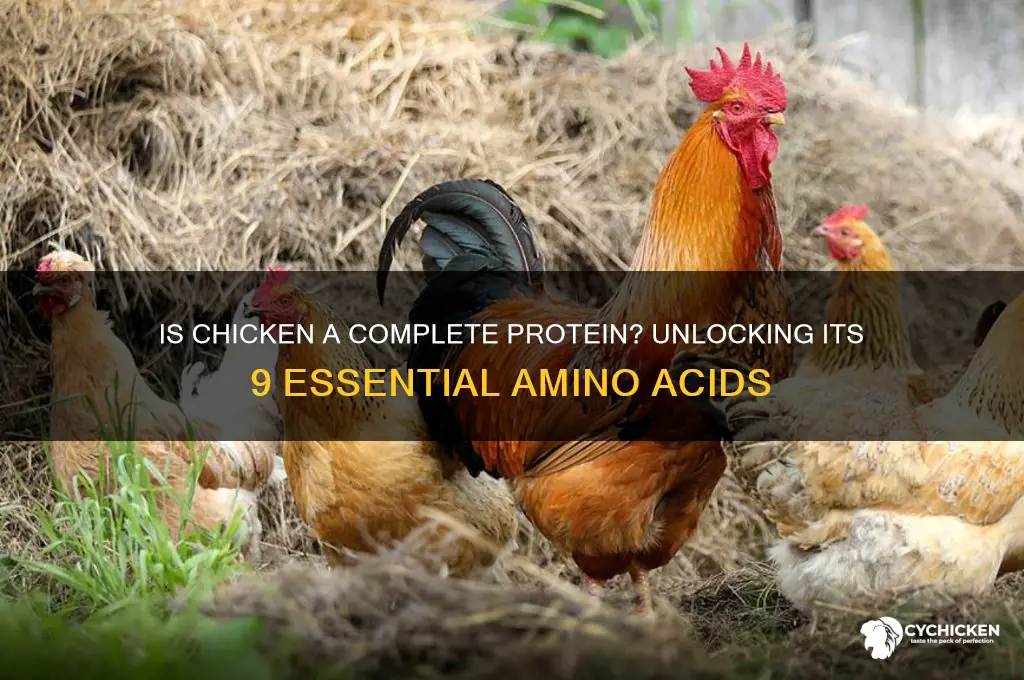 does chicken have all 9 essential amino acids