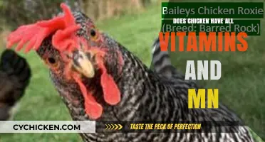 Does Chicken Provide All Essential Vitamins and Minerals? A Nutritional Breakdown