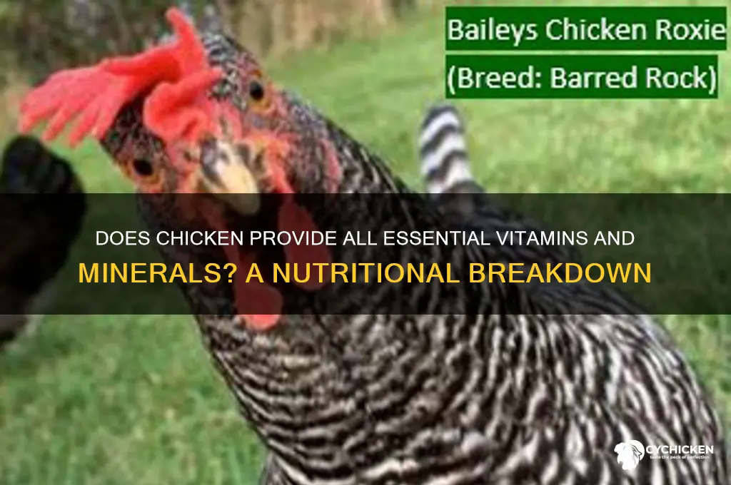does chicken have all vitamins and mn