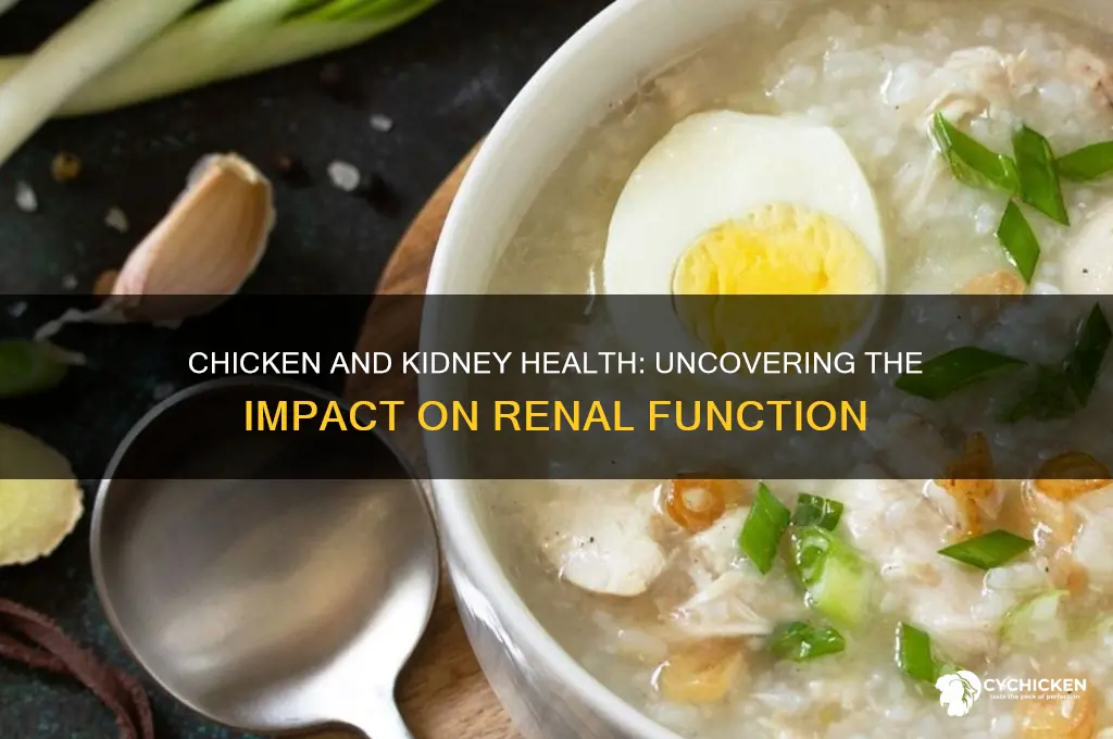 does chicken have any effect on kidney function