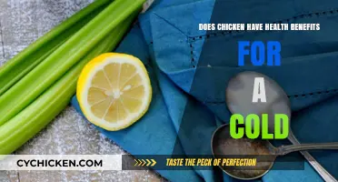 Chicken Soup for Colds: Uncovering the Health Benefits and Science
