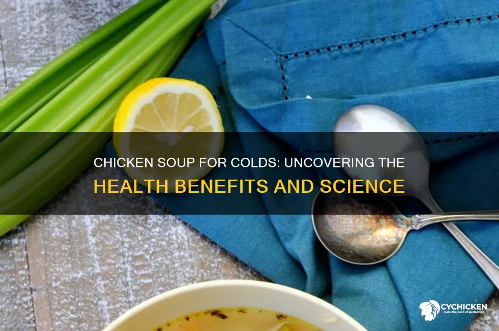 does chicken have health benefits for a cold