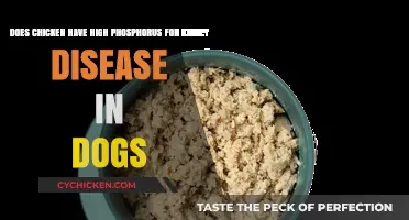 Phosphorus in Chicken: A Concern for Dogs with Kidney Disease?