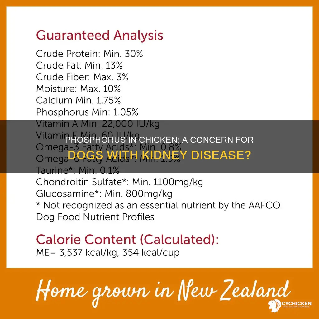 does chicken have high phosphorus for kidney disease in dogs