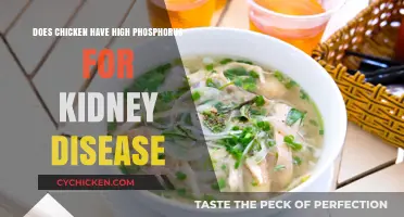 Chicken and Kidney Health: Understanding Phosphorus Levels for Disease Management