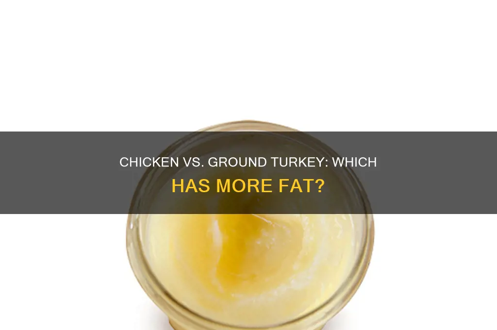 does chicken have more fat than ground turkey