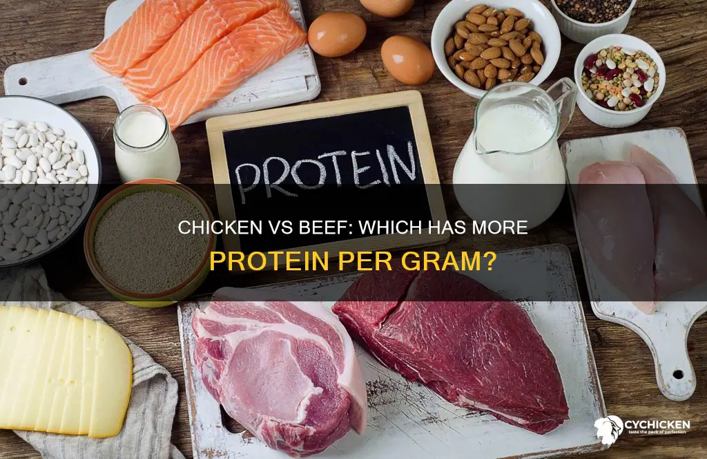 does chicken have more protein than beef per gram