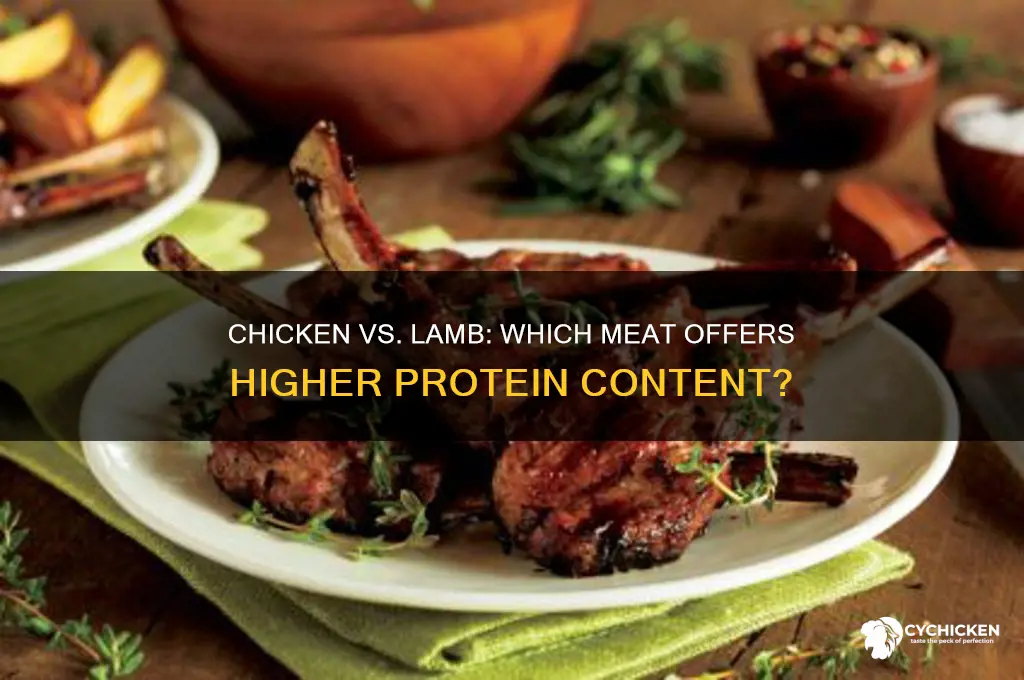 does chicken have more protein than lamb