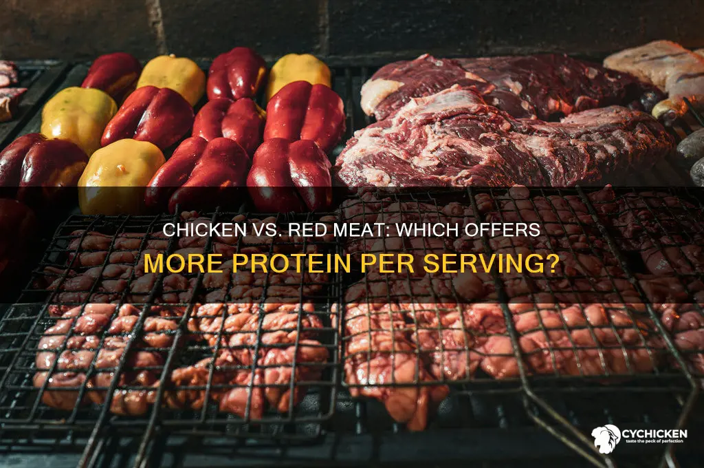 does chicken have more protein than red meat