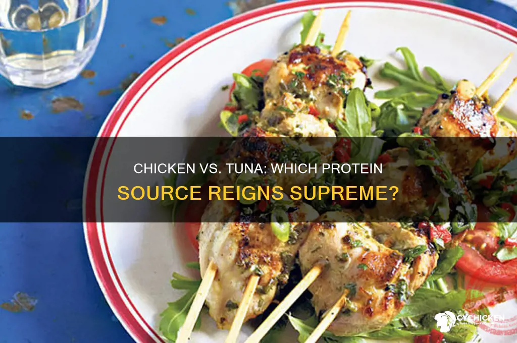 does chicken have more protein than tuna