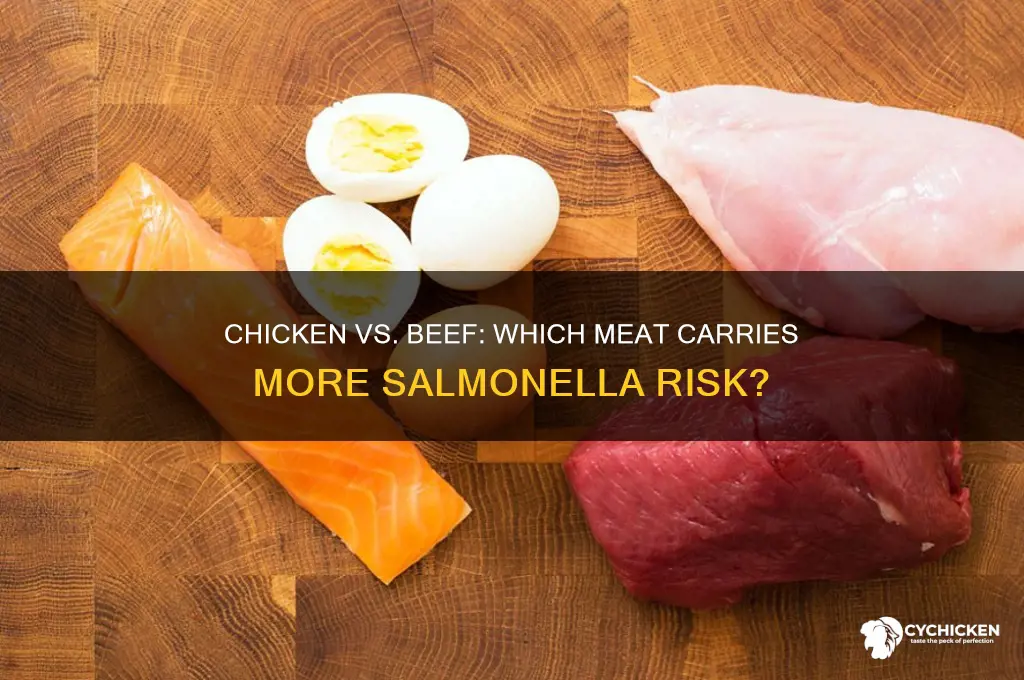 does chicken have more salmonenna than beef