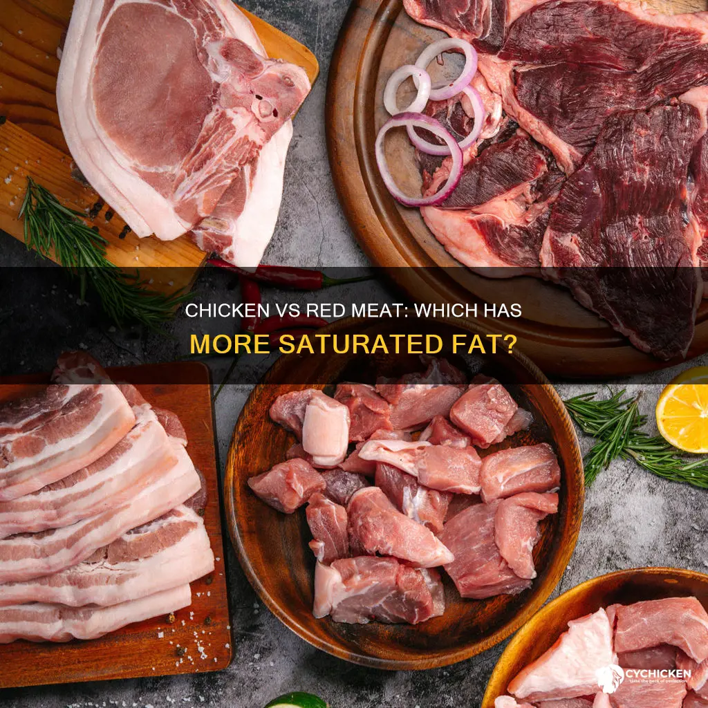 does chicken have more saturaed fat than red meat