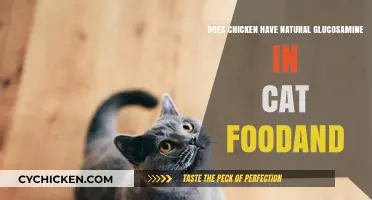 Natural Glucosamine in Cat Food: Is Chicken a Good Source?