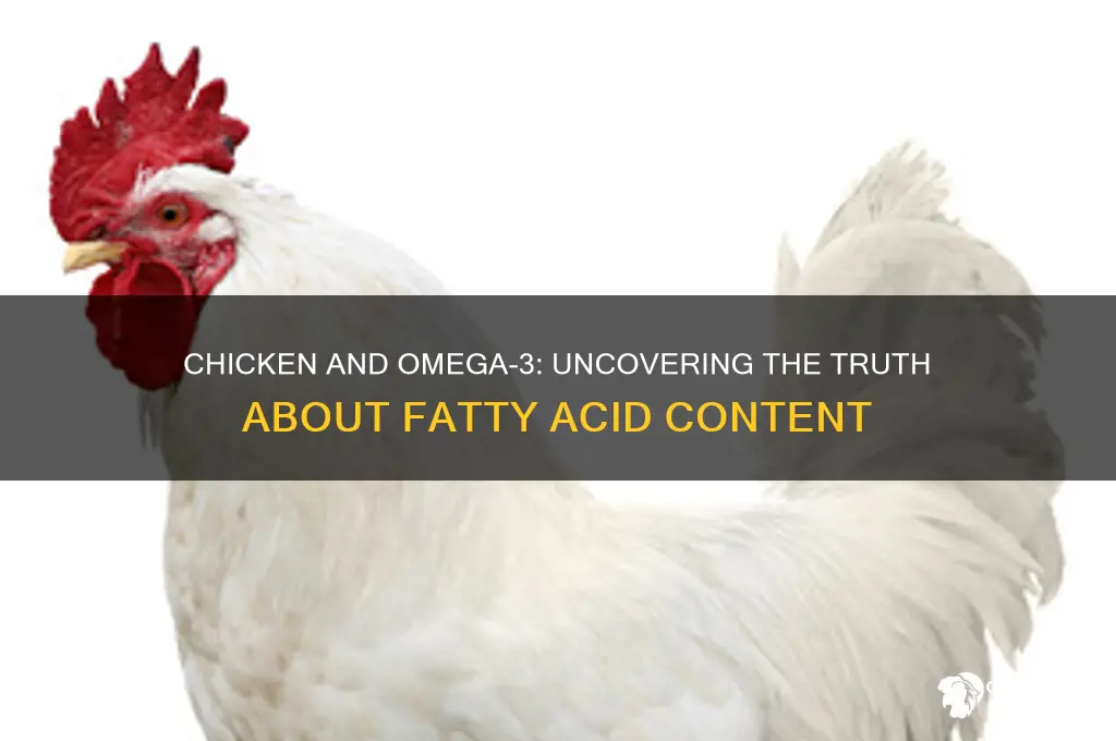 does chicken have omega 3 fatty acids