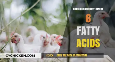 Does Chicken Contain Omega-6 Fatty Acids? Uncovering the Nutritional Truth