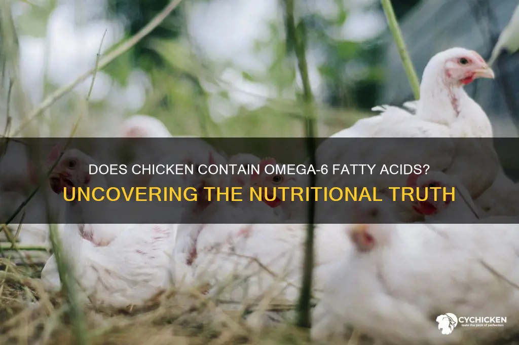 does chicken have omega 6 fatty acids