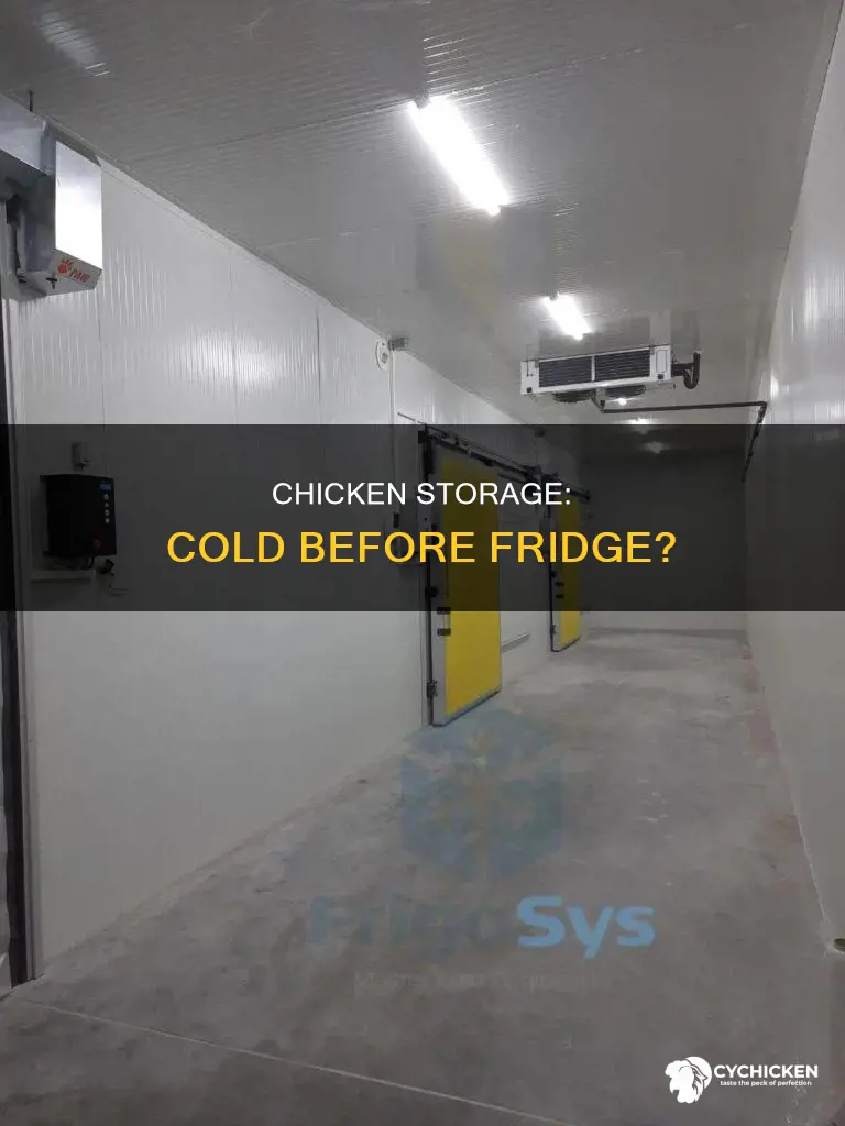 does chicken have to be cold before putting in fridge