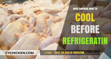 Cooling Chicken Safely: Should You Wait Before Refrigerating?