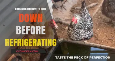 Cooling Chicken Safely: Should You Wait Before Refrigerating?