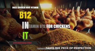 Does Chicken Contain Vitamin B12? Nutritional Facts Revealed