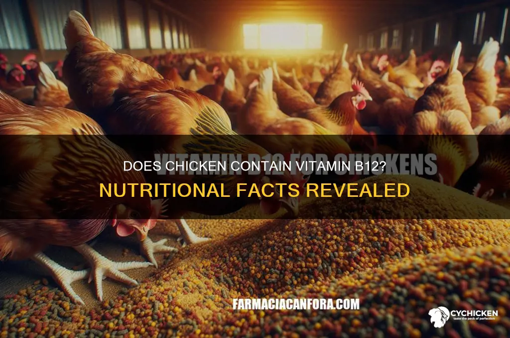 does chicken have vitamin b12 in it