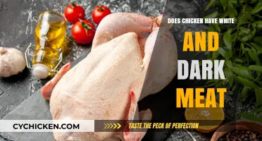 Understanding Chicken Meat: The Difference Between White and Dark Varieties